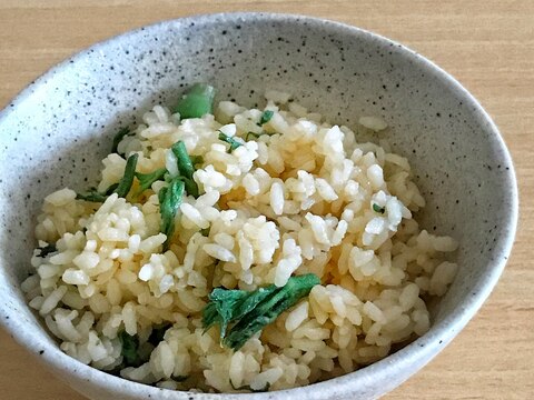 タラの芽の炊き込みご飯